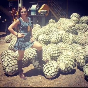 Premium Blue Agave Piña Hearts - Fresh Harvested Reptile Food Source